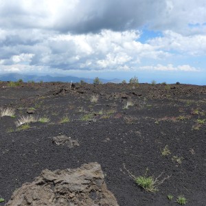 old lava field