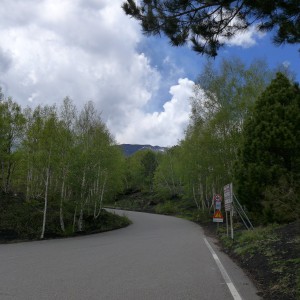 road to Rifugio Citelli