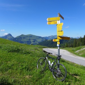 so many signs !