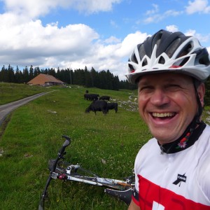 Happy cows & cyclist